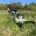Acacia Groundcare Equipment Rental puts its trust in Etesia
