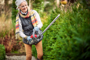 Live life on the 'hedge' with Mountfield