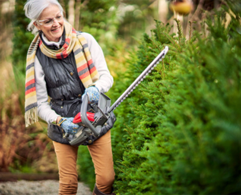 Live life on the 'hedge' with Mountfield
