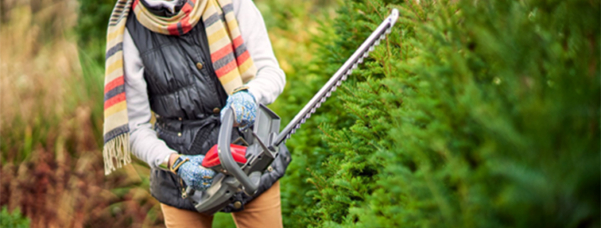 Live life on the 'hedge' with Mountfield