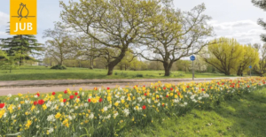 University of Kent and JUB Holland rethink what bulbs can do in grass