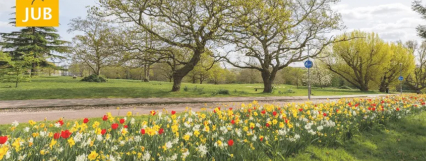 University of Kent and JUB Holland rethink what bulbs can do in grass