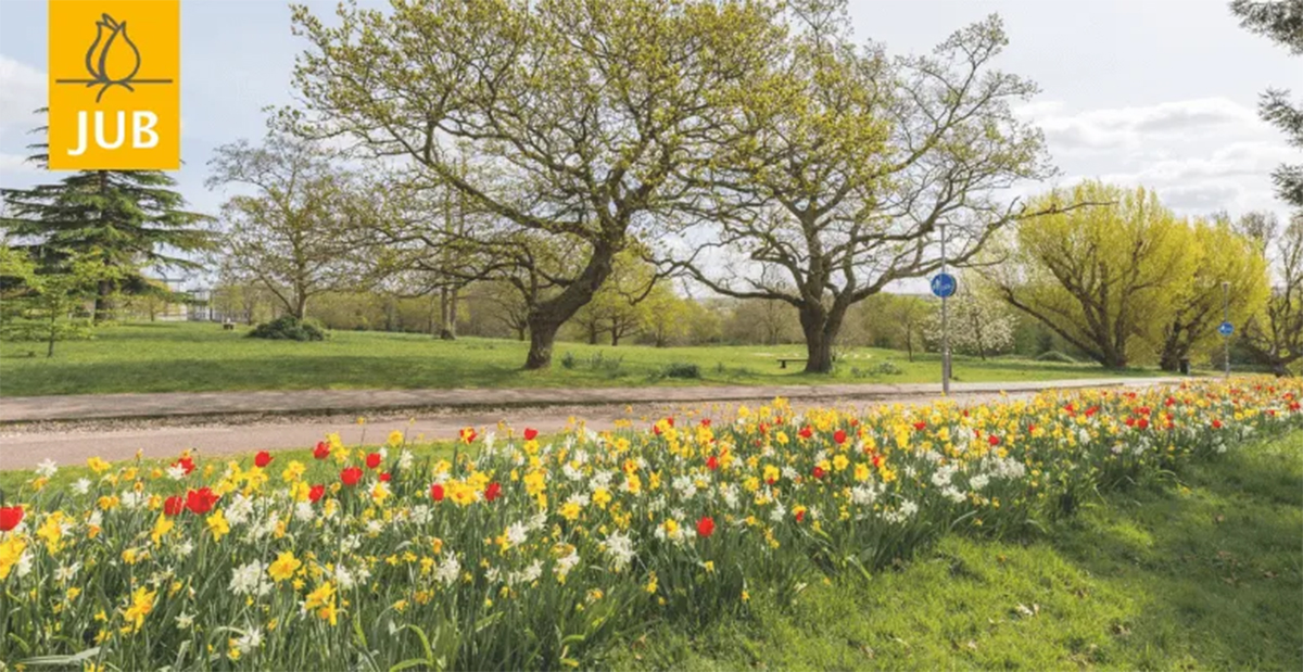 University of Kent and JUB Holland rethink what bulbs can do in grass