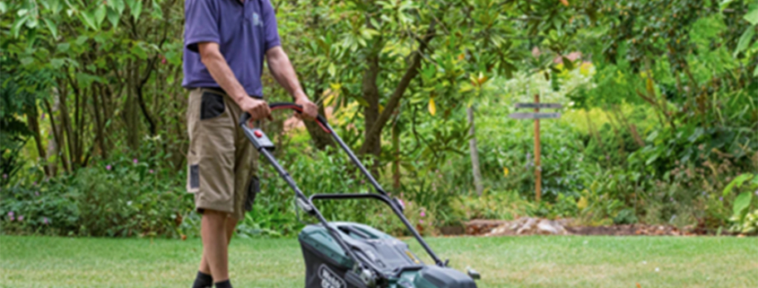 Webb Cordless Rear Roller Rotary Lawnmower