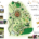 A Chronological Spatial Journey