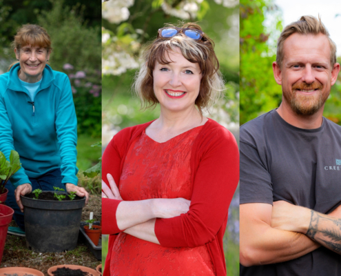 Perennial welcomes three horticulture leaders as new charity Ambassadors