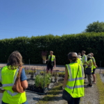 Join Creepers Nursery for their Autumn Open Day