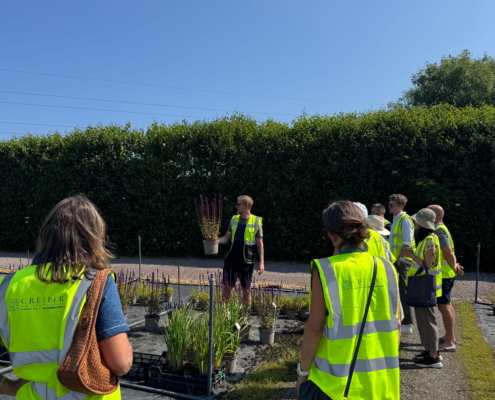 Join Creepers Nursery for their Autumn Open Day