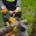 Get Chop Happy With STIGA Chainsaws