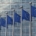 HTA Welcomes UK-EU Summit Date And Calls For Action On Plant Trade