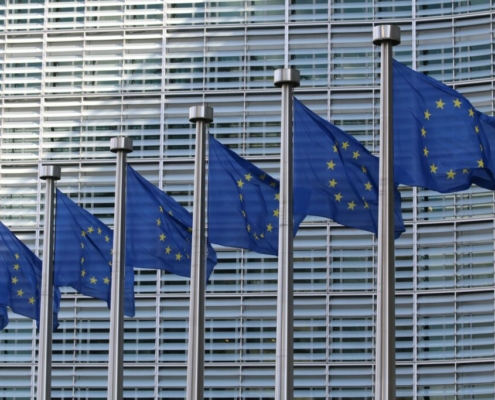 HTA Welcomes UK-EU Summit Date And Calls For Action On Plant Trade