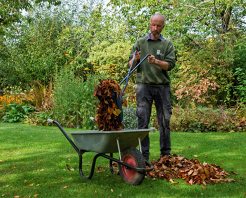 Barnsdale Gardens Tools On Test Spear & Jackson - Leaf Grabber