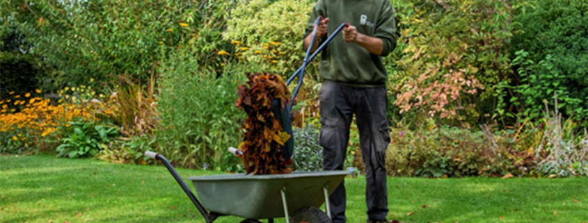 Barnsdale Gardens Tools On Test Spear & Jackson - Leaf Grabber