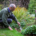 Sneeboer Weeding Trowel & Perennial Spade